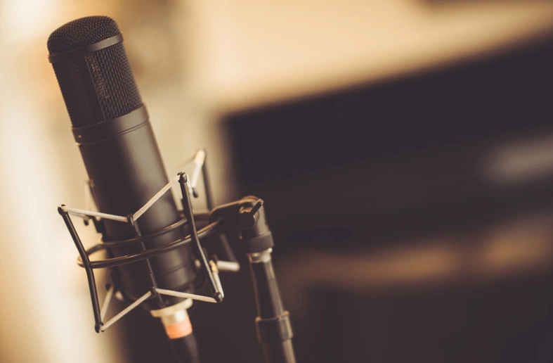 A studio condenser microphone on a stand, used for recording the podcast